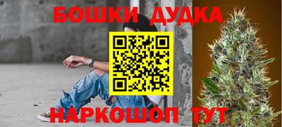 PSILOCYBIN Севастополь