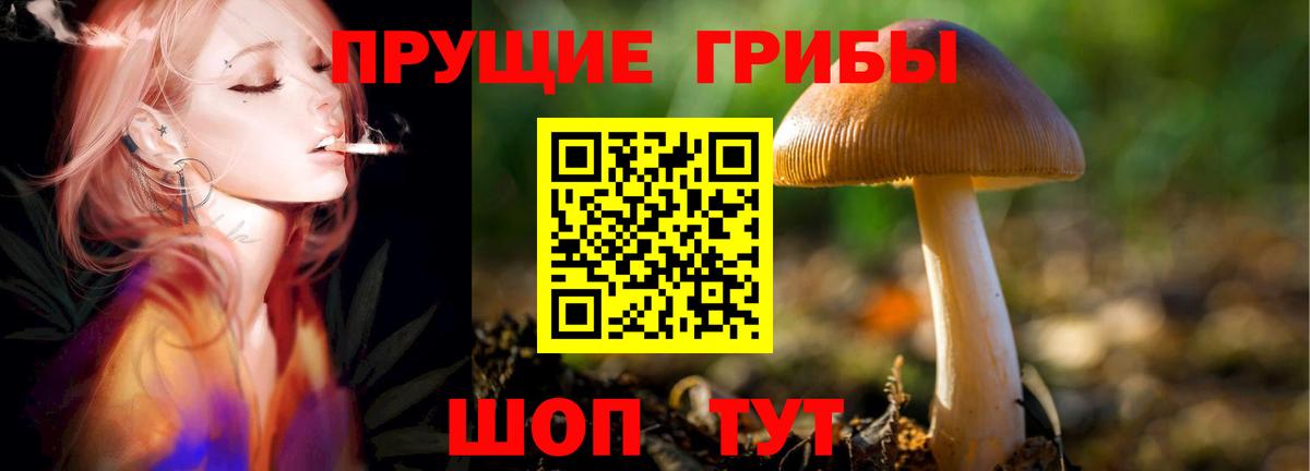 Галлюциногенные грибы ЛСД Наро-Фоминск